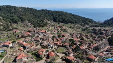 50 Haneli Köy 200 Bin Ziyaretçi Ağırlıyor