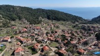 50 Haneli Köy 200 Bin Ziyaretçi Ağırlıyor Haberi