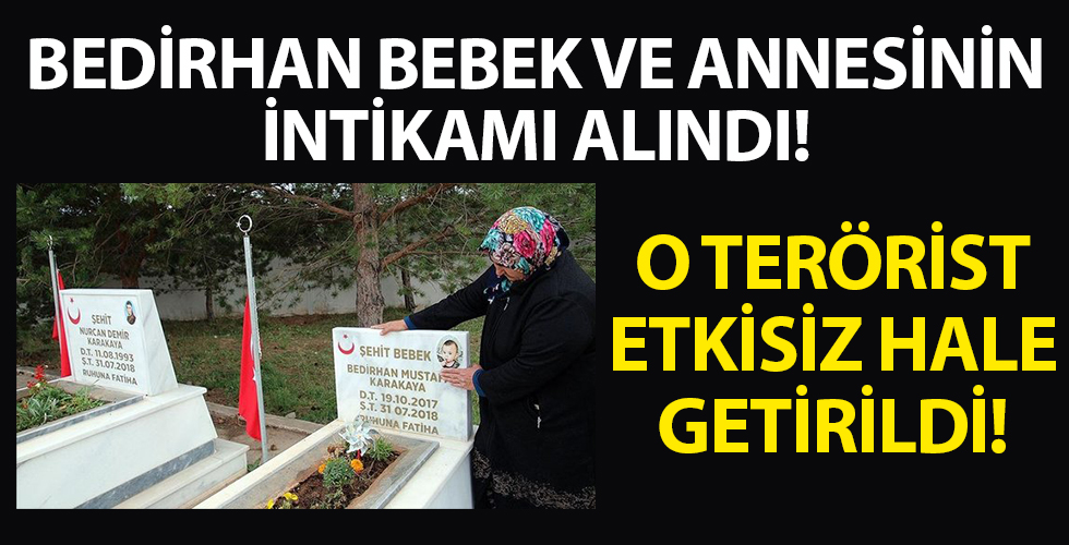 Bedirdan bebeği ve annesini şehit eden hainlerden biri daha etkisiz
