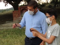 Geyik Böceklerini Doğaya Belediye Başkanı Uğurladı Haberi