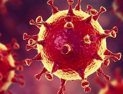 Koronavirüs durdurulamıyor!