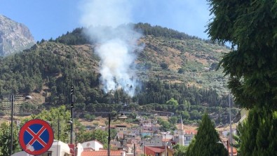 Manisa'da Ormanlık Alanda Yangın
