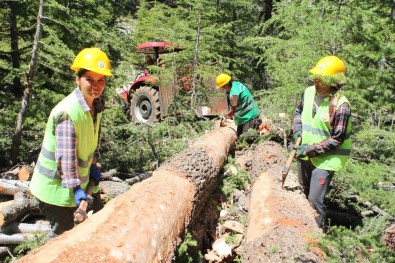 Mersin'de Orman Köylüsüne 34 Milyon Lira Ödeme