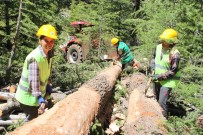 Mersin'de Orman Köylüsüne 34 Milyon Lira Ödeme