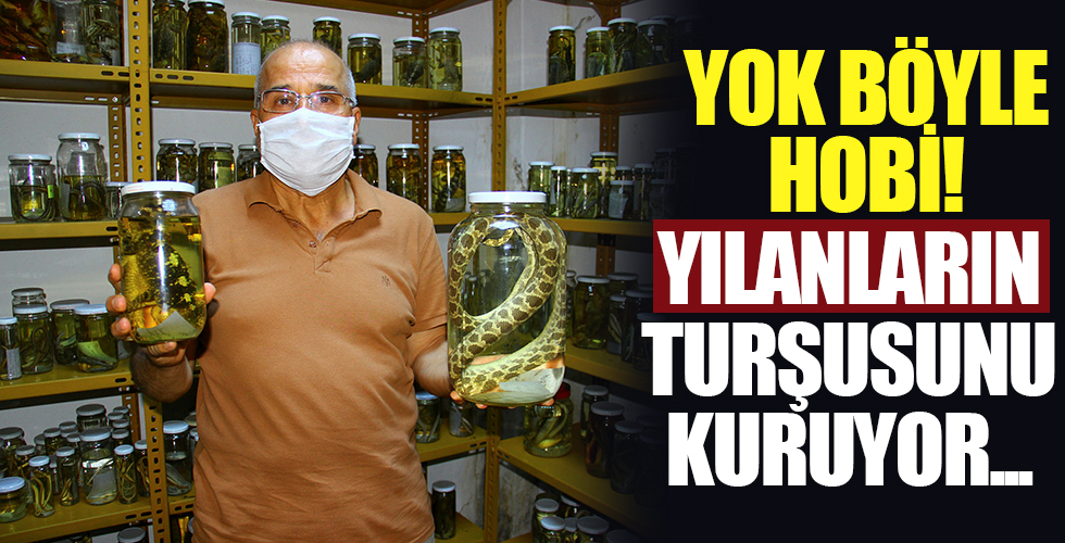 Profesörün Yılan Sevgisi Görenleri Şaşırtıyor