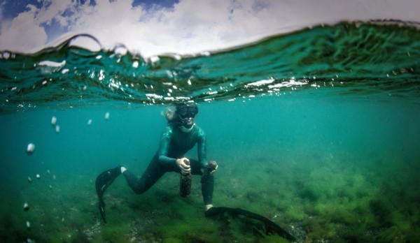 Şahika Ercümen İstanbul Boğazı'ndaki kirliliği fotoğrafladı...