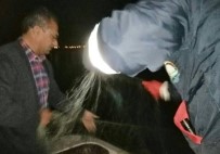 Elazığ'da 2 Tekne İle Kaçak Balık Avına Çıkan 3 Kişi Yakalandı Haberi