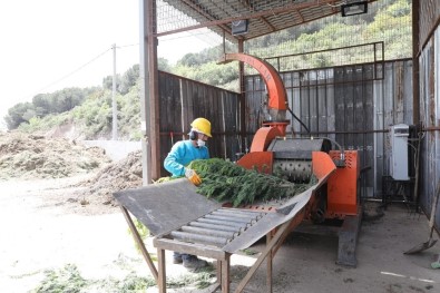 Körfez'de 975 Ton Atık Doğaya Geri Kazandırıldı