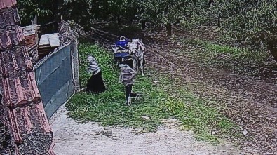 (Özel ) Bursa'da Hırsızlar Kazanları Böyle Çaldılar