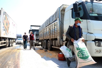 Sakarya'da, D-100 Karayolunu Kilitleyen 5 Araçlık Zincirleme Trafik Kazası