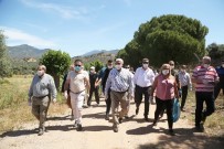 Antik Kentte Müzik Şenliği Yapılacak