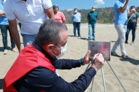 Başkan Böcek Dünya Çevre Günü'nde Deniz Kaplumbağalarının Yuvalama Alanını Koruma Altına Aldı