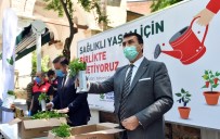 Dündar'dan Yerli Ve Milli Sebze Fidesi
