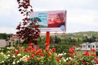 Talas, Çevre Günü'nde Çiçek Açtı