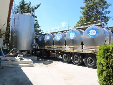 Amasya'da Günlük 82 Ton Çiğ Süt Toplandı