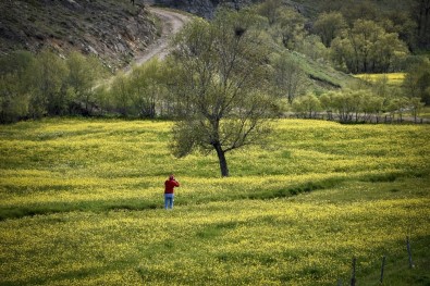 Bu Manzara Yılda Sadece 15 Gün Görülüyor