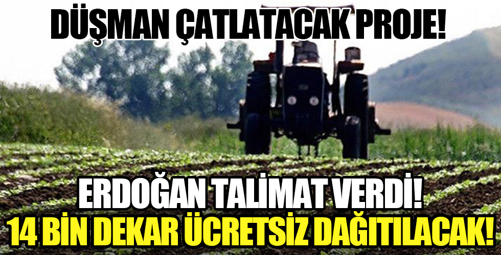 Cumhurbaşkanı Erdoğan'ın talimatı sonrası tek tek belirlendi: Ücretsiz verilecek