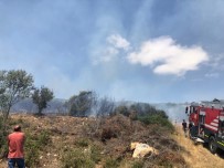 İzmir'de Makilik Alanda Korkutan Yangın Haberi