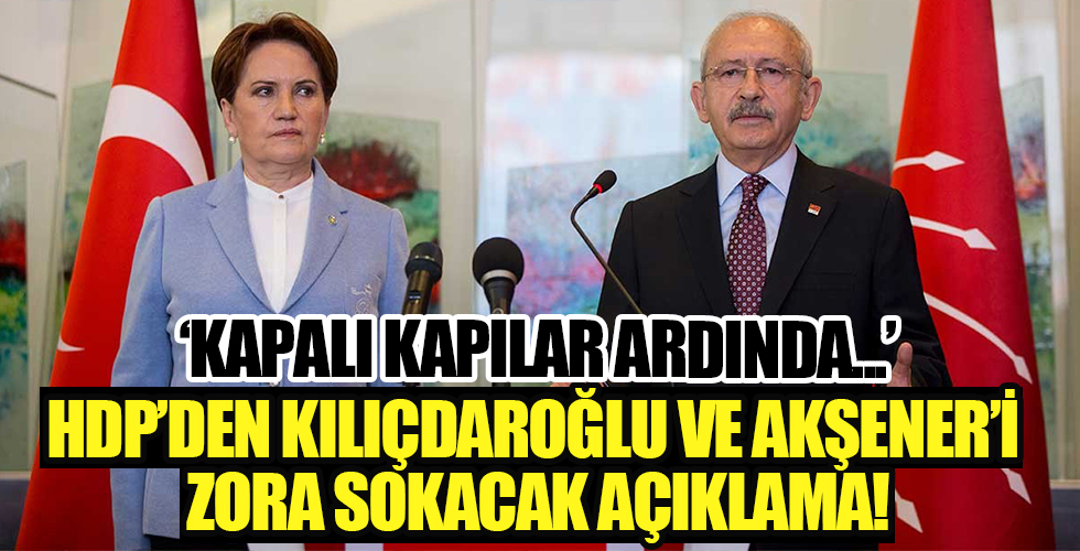 HDP'den CHP ve İP'i zora sokacak açıklama