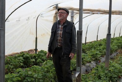 Hobi olarak başladı, şimdi tonlarca üretmeye başladı! 69 yaşında hayatı değişti...