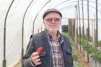 Hobi Olarak Başladı, Şimdi Tonlarca Üretmeye Başladı