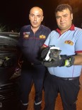 Otomobilin Motoruna Sıkışan Yavru Kediyi İtfaiye Ekipleri Kurtardı