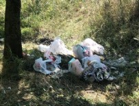 BARAJ GÖLÜ - Piknikçilerden geriye çöp dağları kaldı!