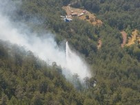 Antalya'da Orman Yangını Büyümeden Söndürüldü