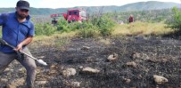 Bingöl'de Ormanlık Alanda Çıkan Yangın, Büyümeden Söndürüldü Haberi