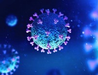 HASTALIK BELİRTİSİ - DSÖ koronavirüs ile ilgili güzel gelişmeyi açıkladı