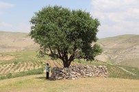 Korona Virüs Nedeni İle Ziyafet Veremeyen Köylüleri Korku Saldı