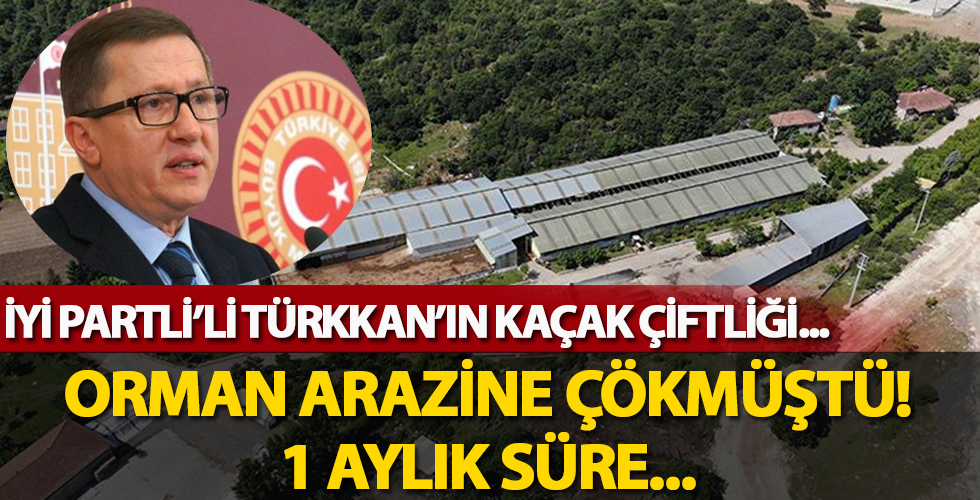 Orman arazisine çöken İYİ Partili Türkkan'a belediyeden bir aylık süre!