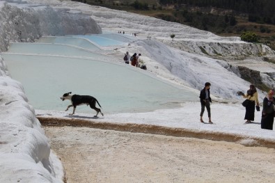 Pamukkale'yi Bir Haftada 2 Bin Kişi Ziyaret Etti