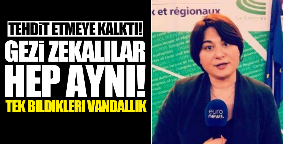 Gezi zekalılar hep aynı!