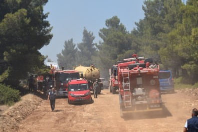 İzmir'de Korkutan Orman Yangını