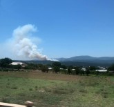 İzmir'de Orman Yangını Haberi