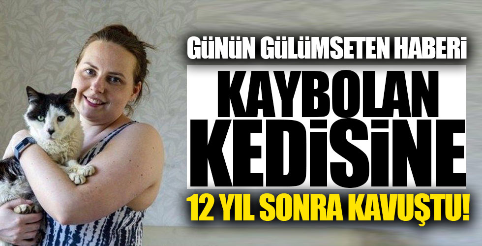 Kaybolan kedisine 12 yıl sonra kavuştu