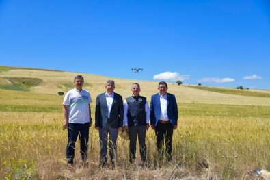 Kayseri'de Süne İle Mücadele De İlk Defa 'Drone' Kullanıldı