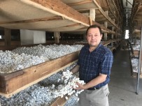 40 Günde 15 Bin Lira Kazandıran Meslek