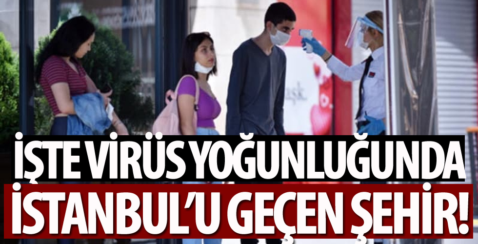 81 ildeki analiz tamamlandı: İşte virüs yoğunluğunda İstanbul'u geçen şehir