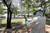 Başkent'te Zirai Mücadele Hız Kesmeden Devam Ediyor