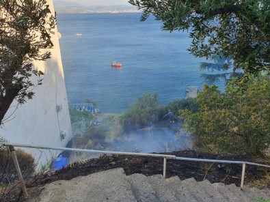 Bursa'da Yangın...Çamlar Yanmadan Söndürüldü