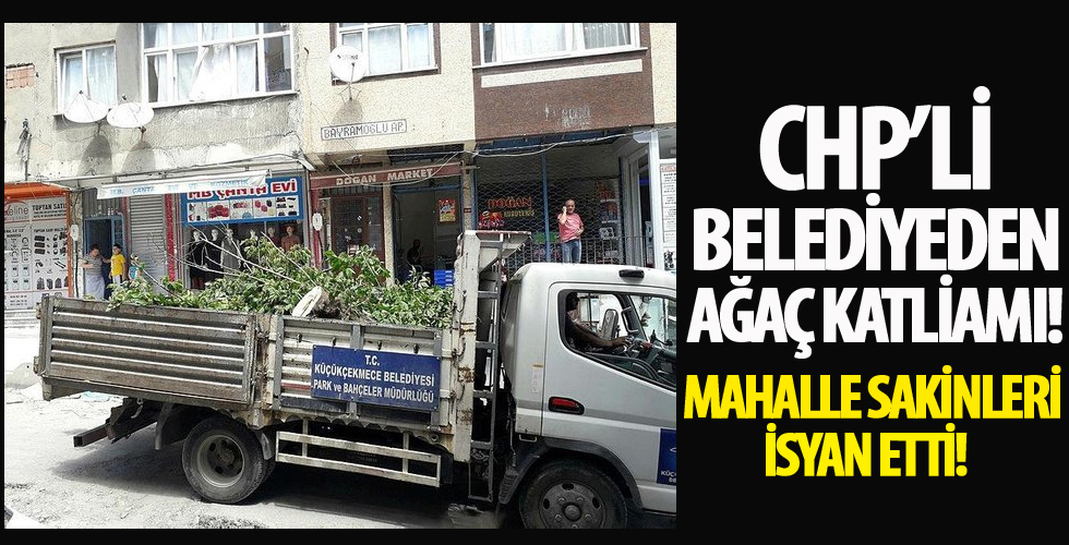 CHP'li Küçükçekmece Belediyesi meyve ağaçlarını kesti