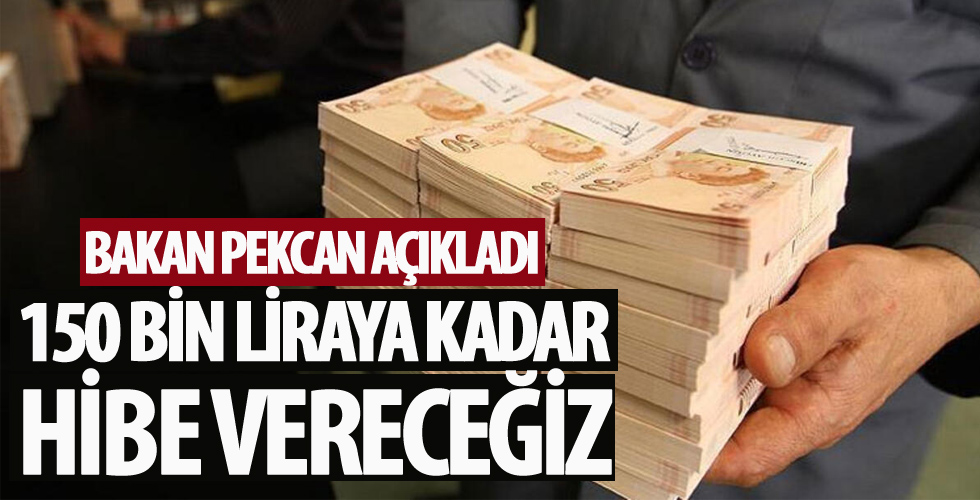 Bakan Pekcan: 150 bin liraya kadar hibe vereceğiz