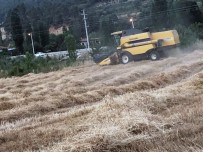 Kavaklıdere'de Organik Buğday Hasadı Başladı Haberi