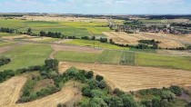 Trakya'da Enerji Nakil Hatlarının Bakımı Drone Yardımıyla Yapılıyor