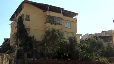 50 Yıllık Dut Ağacını Sökülmekten Kurtardılar