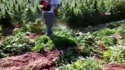 Jandarmanın Narko-Terör Operasyonlarında 2 Terörist Etkisiz Hale Getirildi