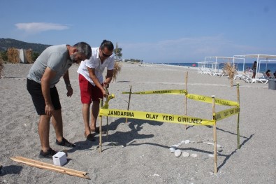 Pandemi Döneminde Boşalan Sahiller Caretta Caretta'lara Kaldı