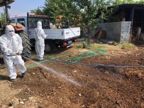 Büyükşehir Vektörel Mücadeleye Devam Ediyor